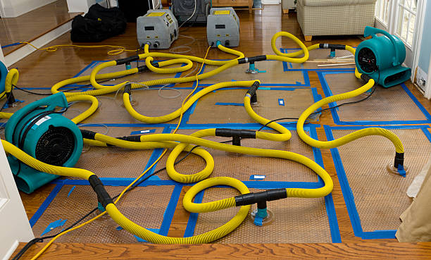 Professional Sewage Cleanup technician working in Lexington, MA